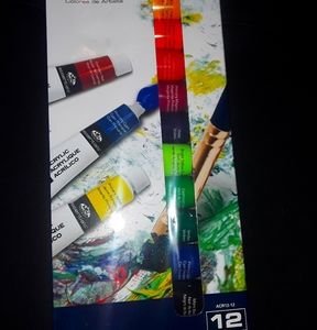 12 pack of acrylic paints in squeeze tubes!